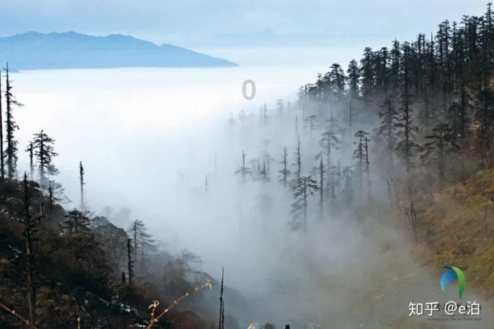 鼻炎类型有很多种，病因不同别乱用药，干燥性鼻炎不如试试这样做